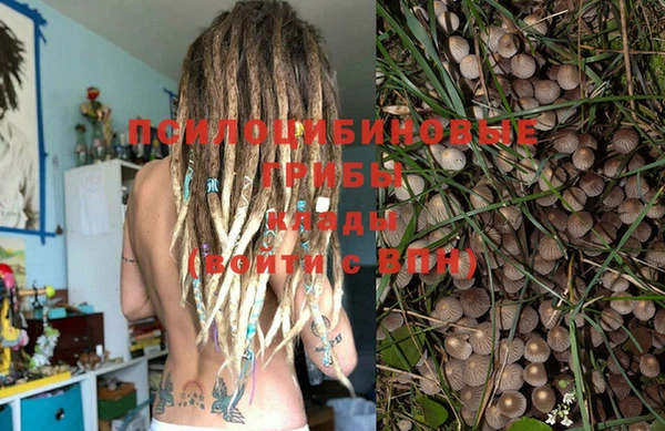 шишки Касимов