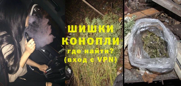 шишки Касимов