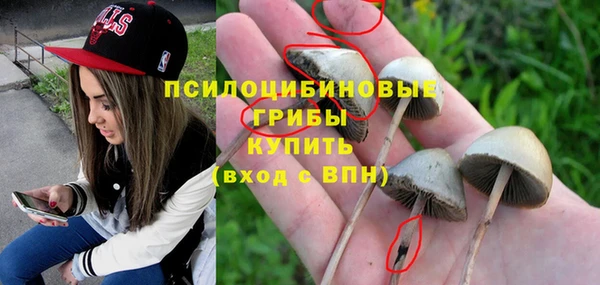 MESCALINE Карпинск