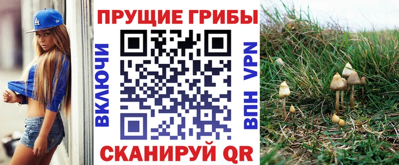 Псилоцибиновые грибы Psilocybine cubensis  Уварово 